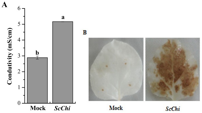 Figure 11.