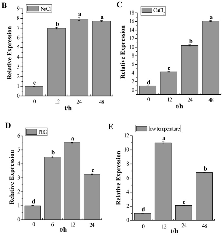 Figure 10.