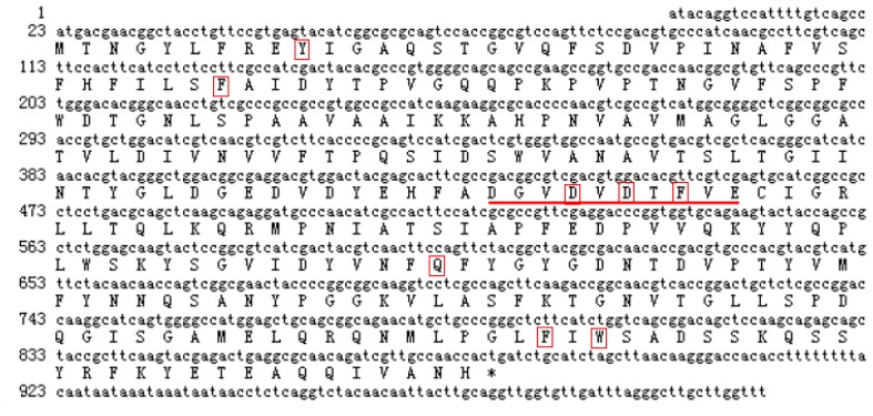 Figure 2.