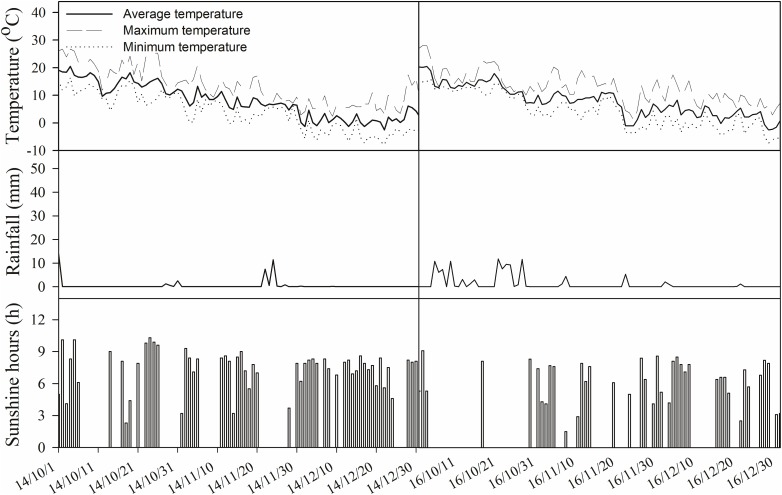 FIGURE 2