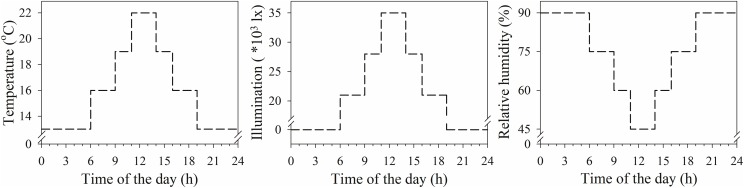 FIGURE 3