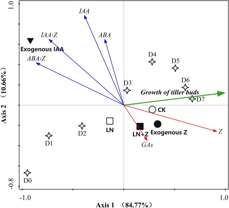 FIGURE 10