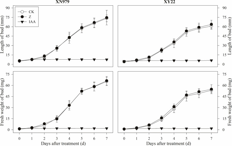 FIGURE 4