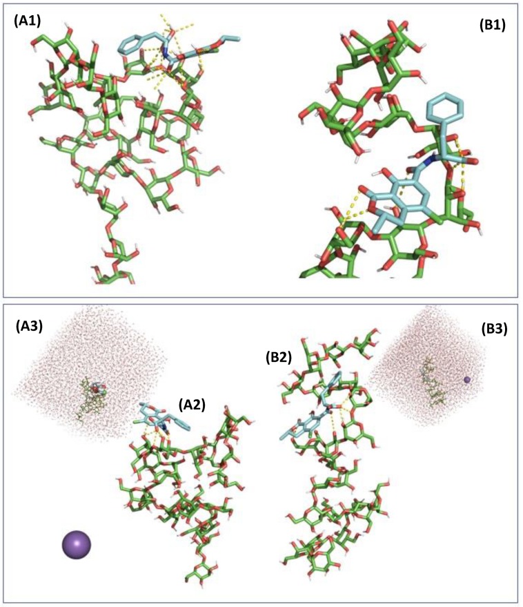 Figure 6