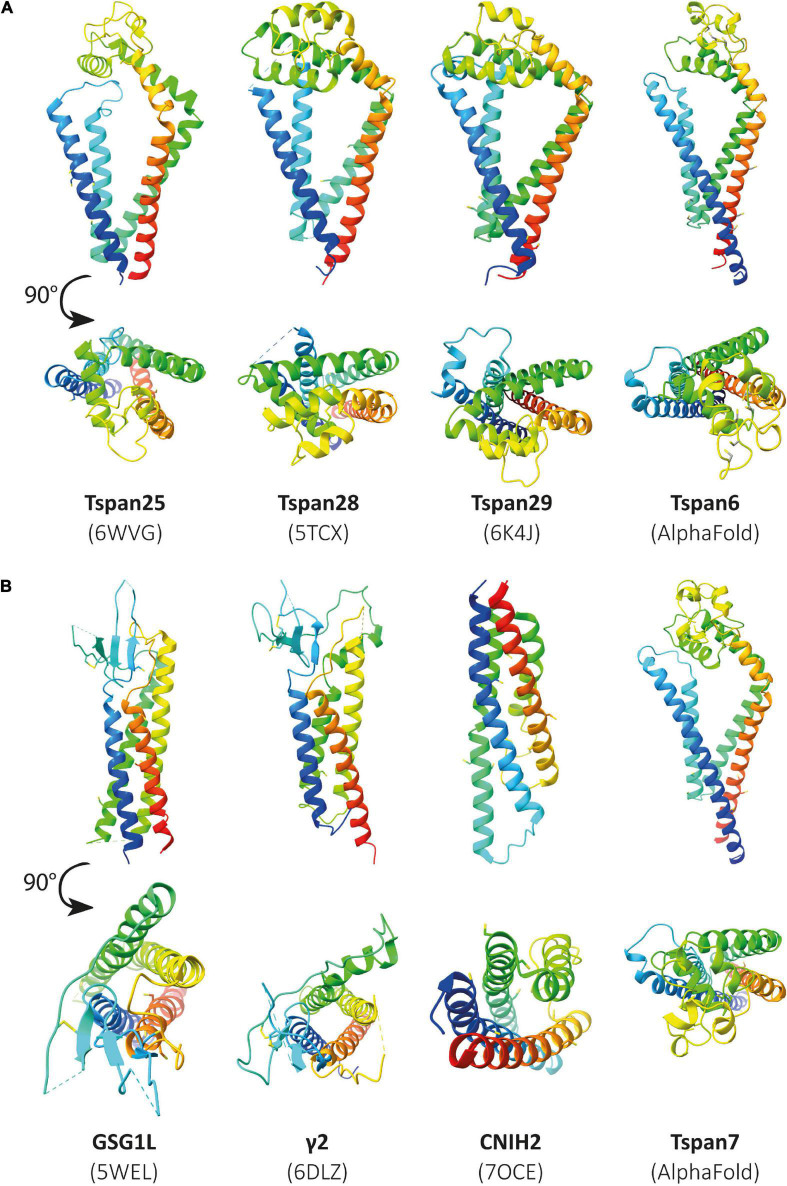 FIGURE 6