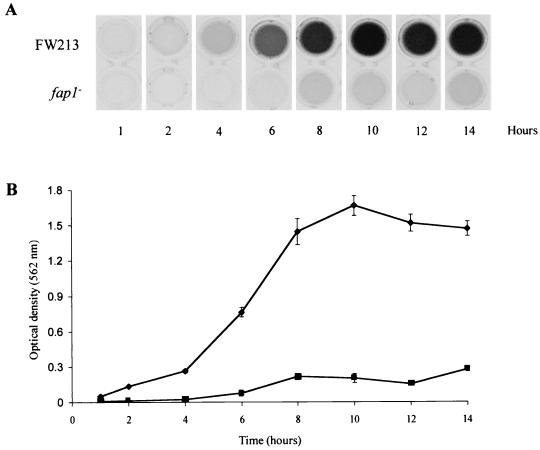 FIG. 4