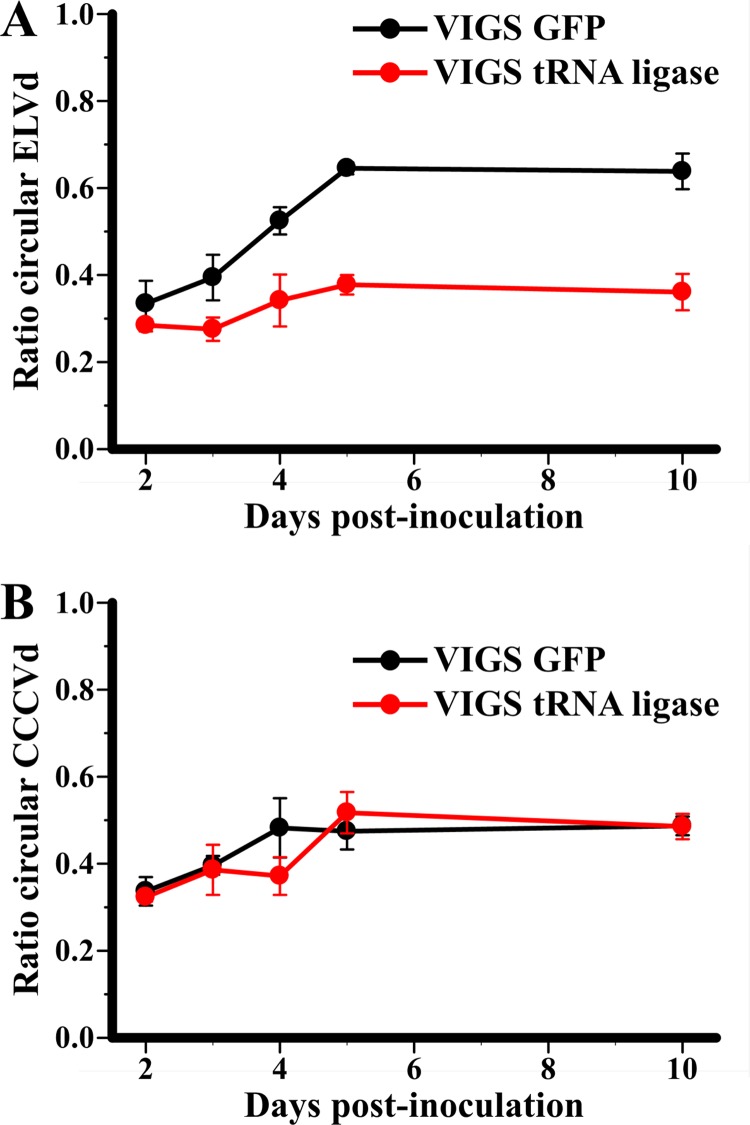 Fig 5