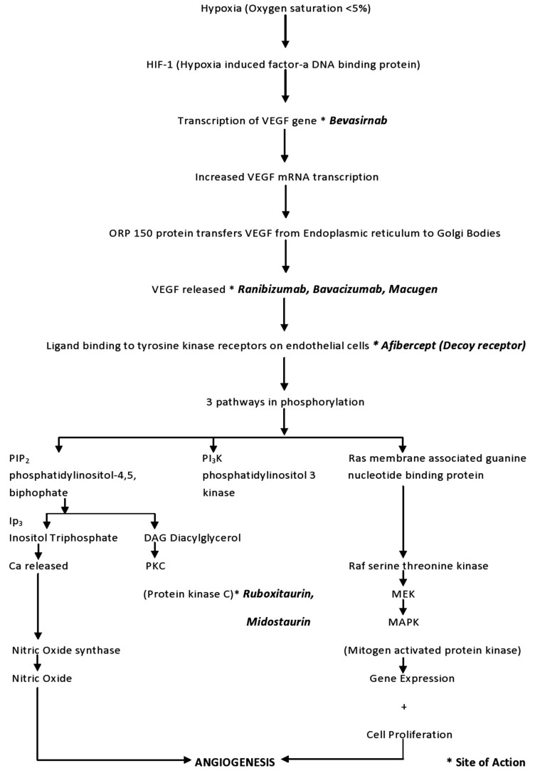 Fig. (1)