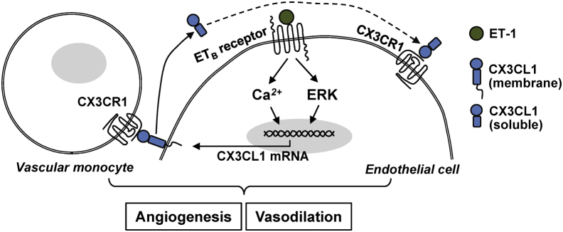 Figure 7