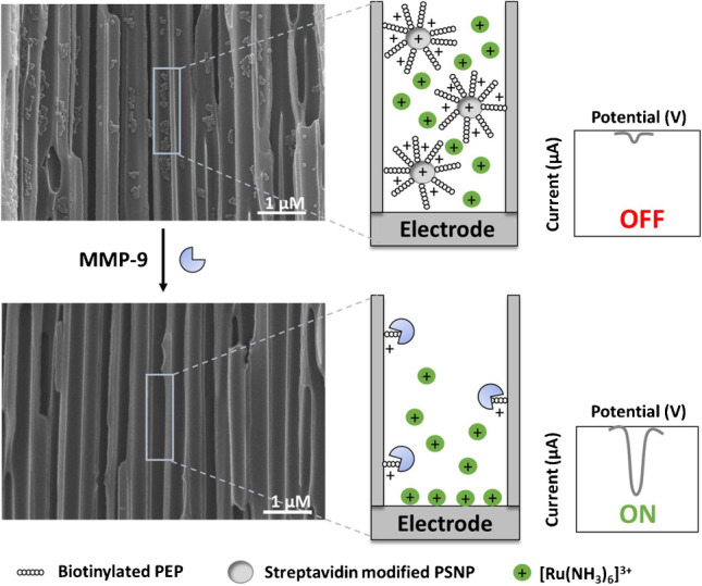 graphic file with name 604_2023_5835_Figa_HTML.jpg