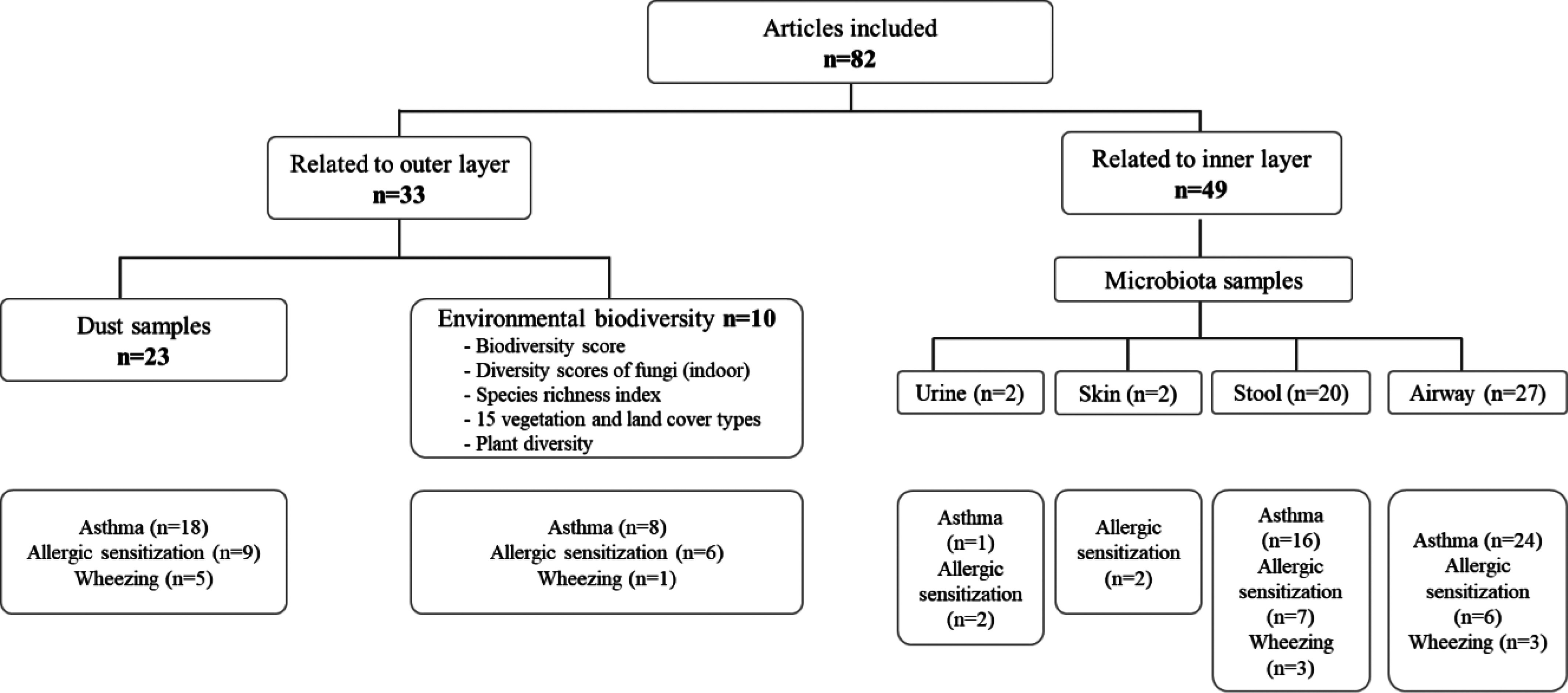 Figure 3 is a flowchart with six steps. First branch: 82 study cases were included, of which 33 were related to the outer layer and 49 were related to the inner layer. Second branch: The 33 study cases related to the outer layer are divided into 23 studies using dust samples and 10 study cases of environmental biodiversity, including biodiversity scores, diversity scores of fungi (indoor), species richness index, vegetation and land cover types, and plant diversity. Third branch: 49 study cases related to the inner layer lead to microbiota samples, including 2 studies using urine samples, 2 using skin samples, 20 using stool samples, and 27 studies using airway samples. Fourth branch: The 23 studies using dust samples include 18 studies related to asthma, 9 related to allergic sensitization, and 5 studies related to wheezing. Fifth branch: The 10 study cases of environmental biodiversity include 8 studies related to asthma, 6 related to allergic sensitization, and 1 study related to wheezing. Sixth branch: Under microbiota samples, with urine, there is 1 study related to asthma and 2 studies related to allergic sensitization; with skin, there are 2 studies related to allergic sensitization; with stool, there are 16 studies related to asthma, 7 studies related to allergic sensitization, and 3 studies related to wheezing; and with the airway, there are 24 studies related to asthma, 6 studies related to allergic sensitization, and 3 studies related to wheezing.