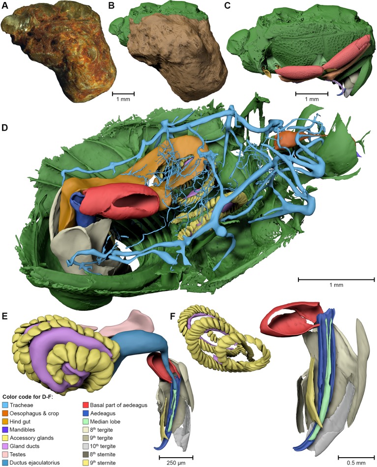 Figure 3.