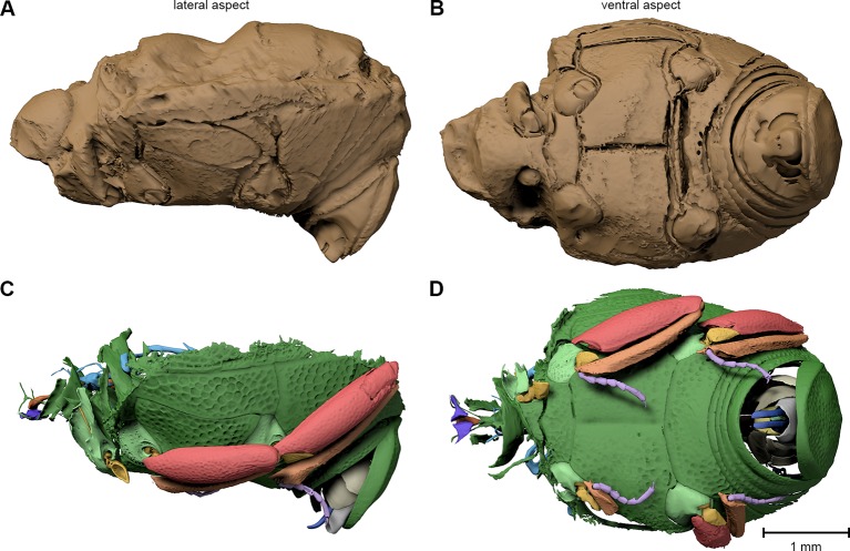 Figure 5.