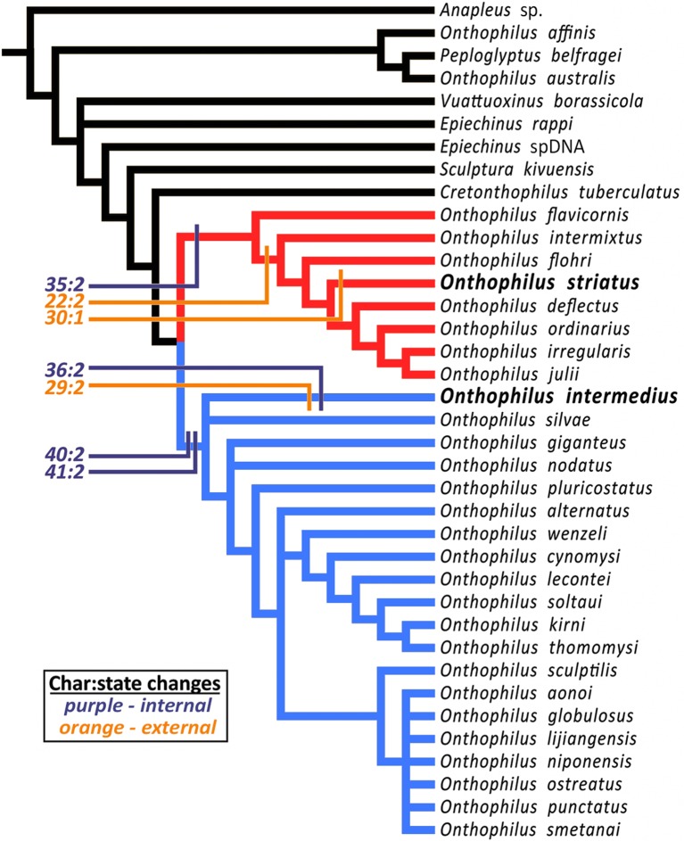 Figure 6.