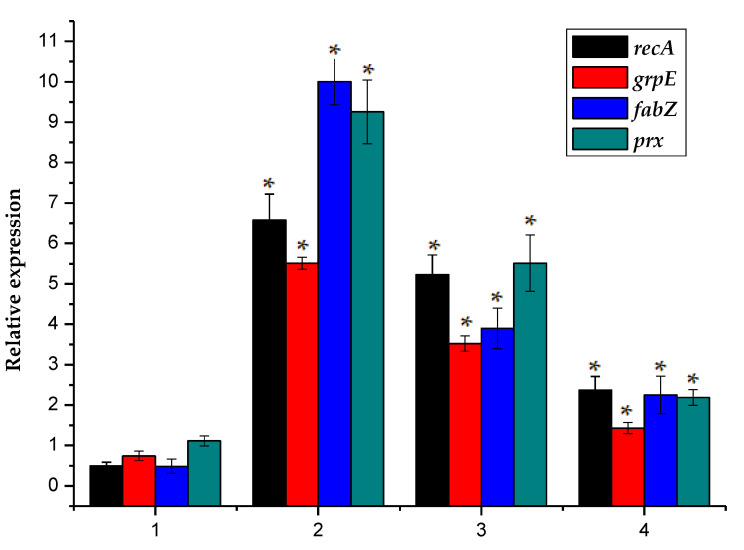 Figure 4