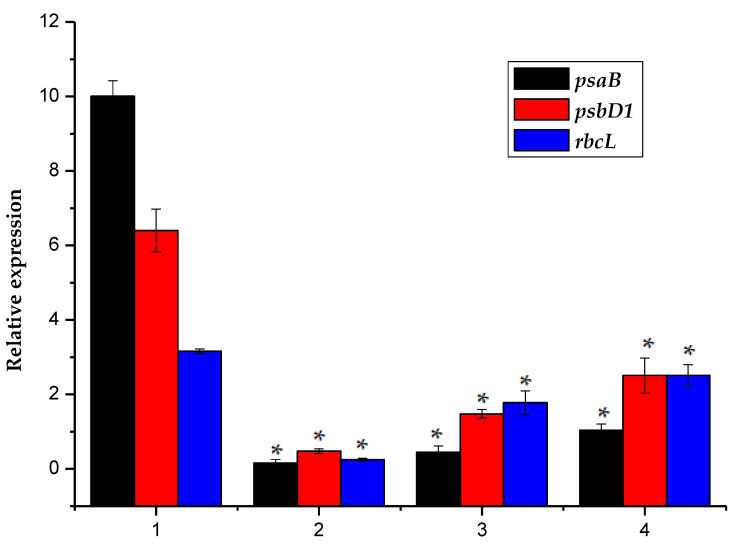 Figure 5