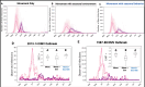 The effect of seasonality in transmission on disease dynamics.