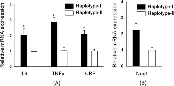 FIGURE 9.