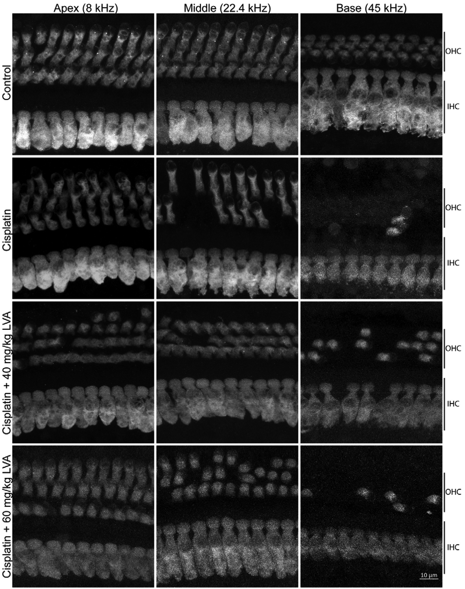 Figure 3: