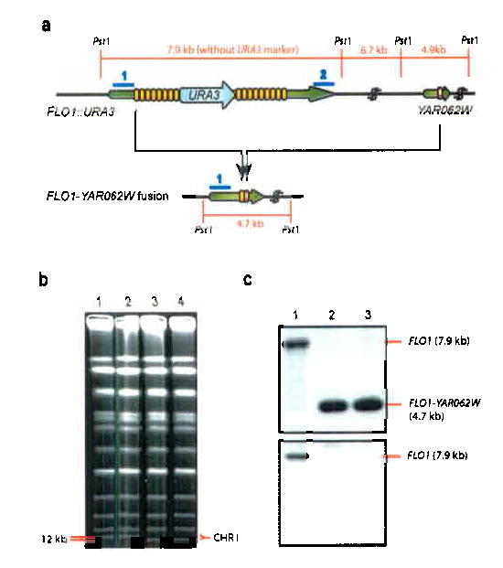 Fig 4