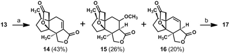 Scheme 2