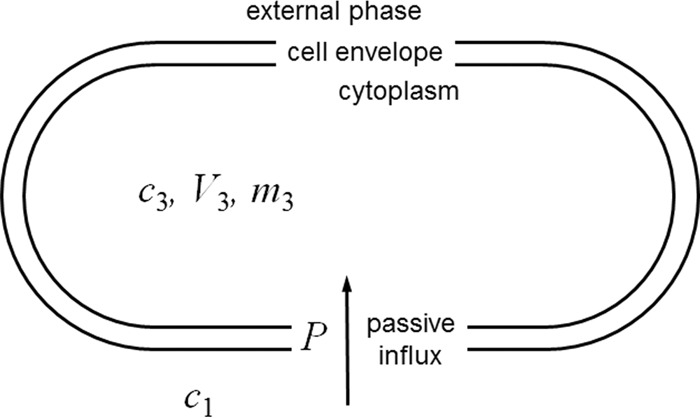 FIG 1