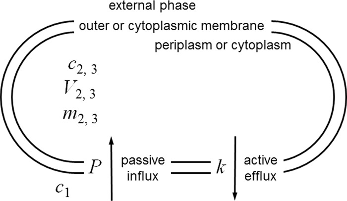 FIG 3