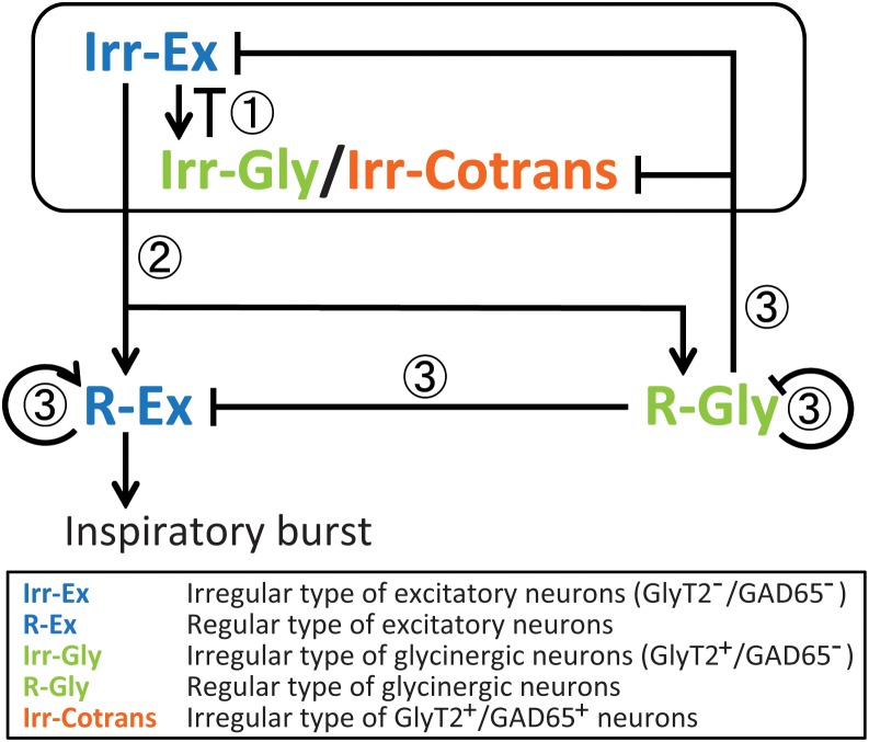 FIGURE 4