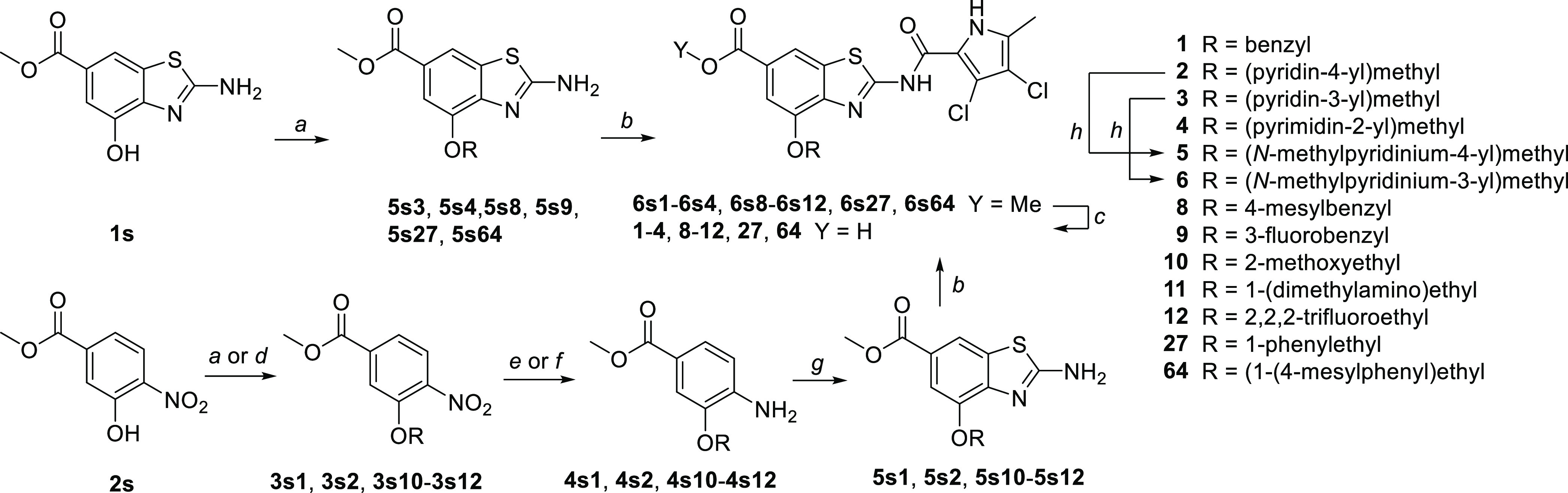 Scheme 1