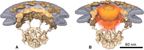 Fig. 4