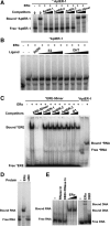 <b>Fig. 2.</b>