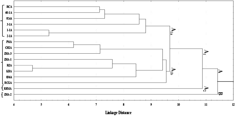 Fig. 2