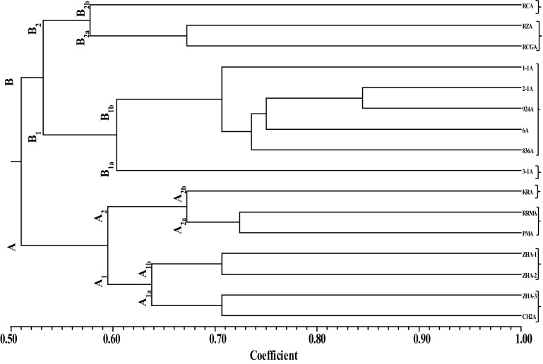 Fig. 4