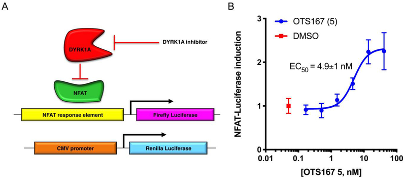 Figure 5.