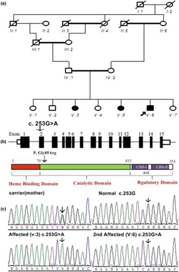 FIGURE 1