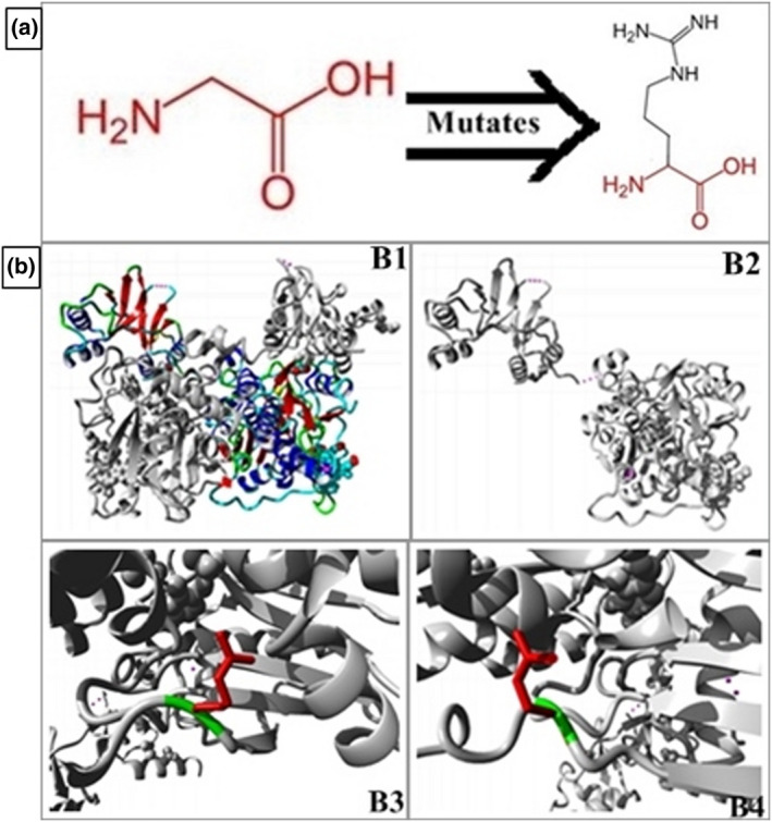 FIGURE 2