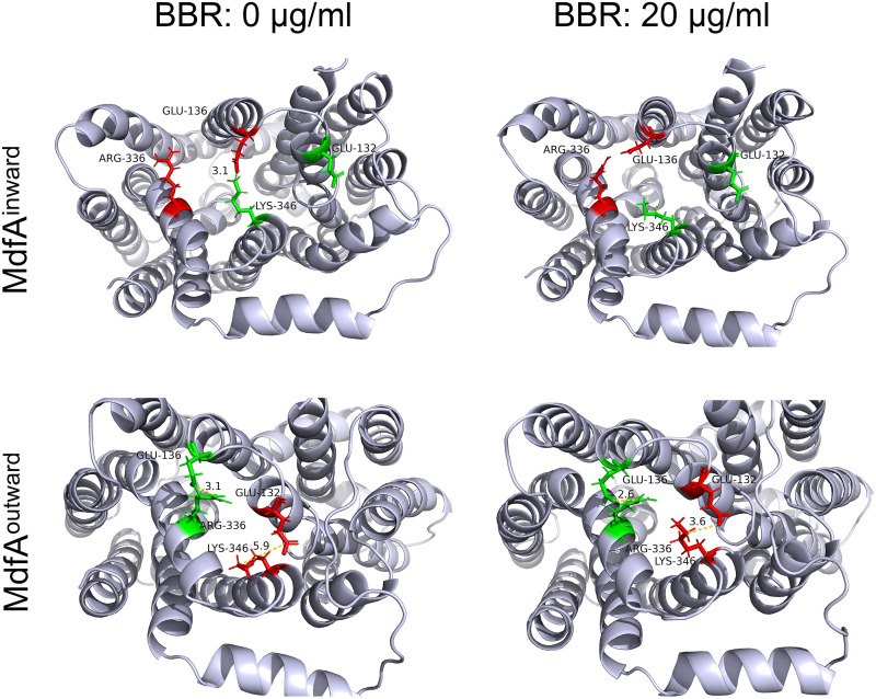 FIG 6