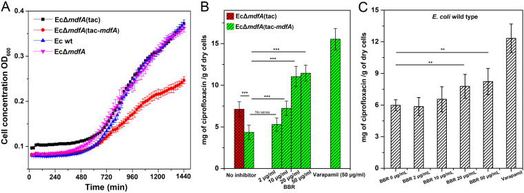 FIG 2