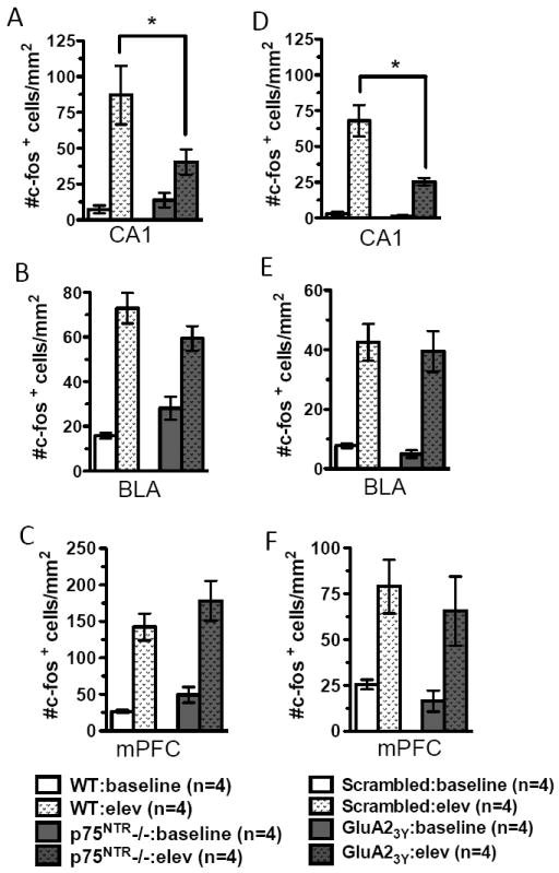 Fig.3