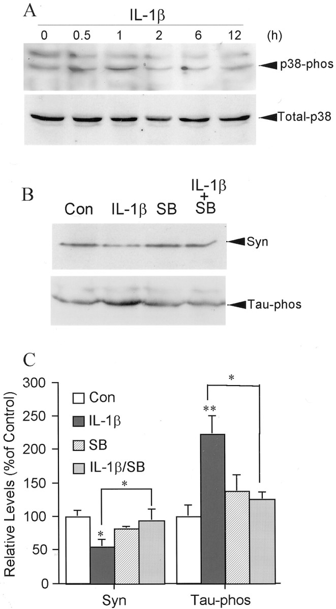 Fig. 8.