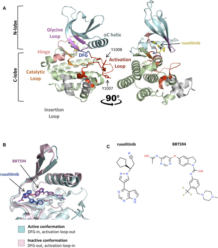 FIGURE 3