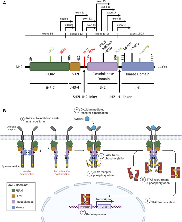 FIGURE 2