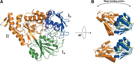 Figure 2