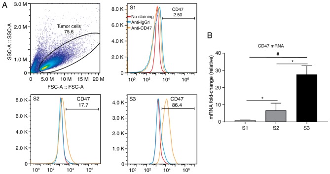 Figure 3.