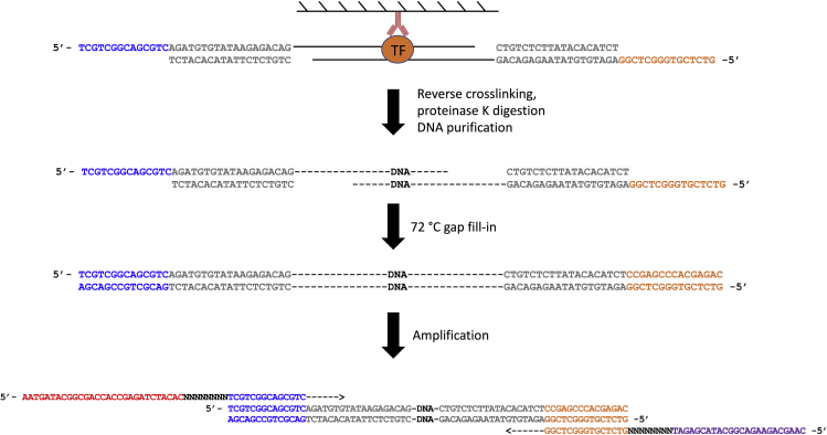 Figure 6