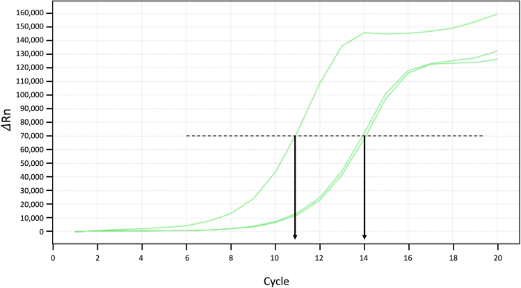 Figure 7