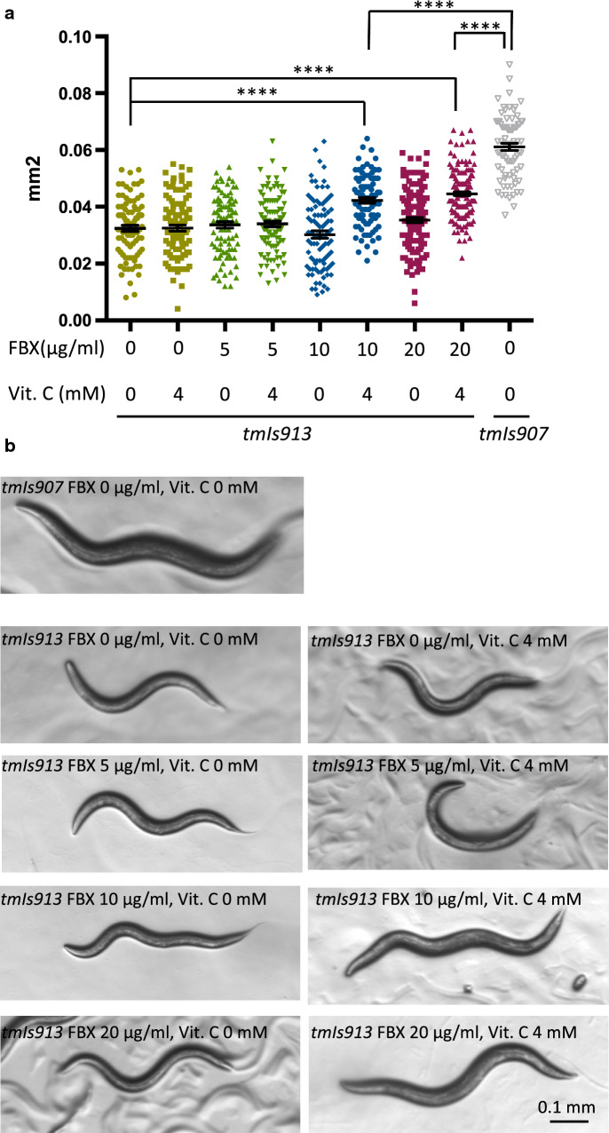 Fig. 6