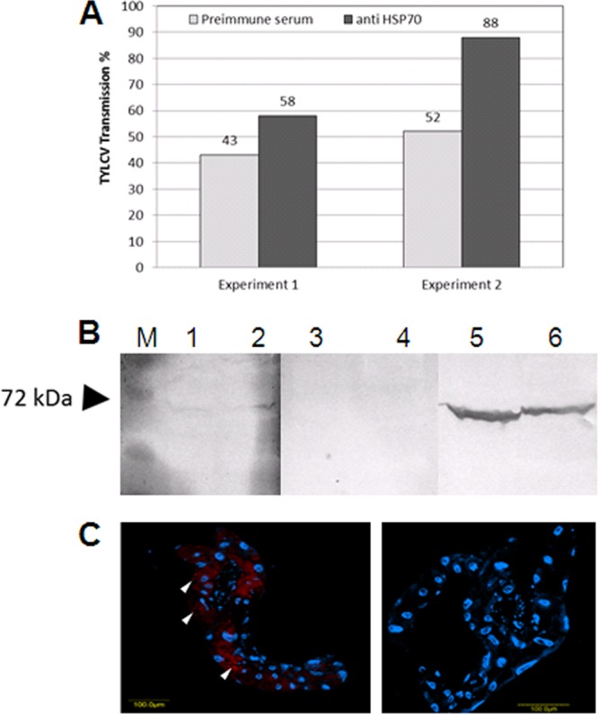 Fig 8