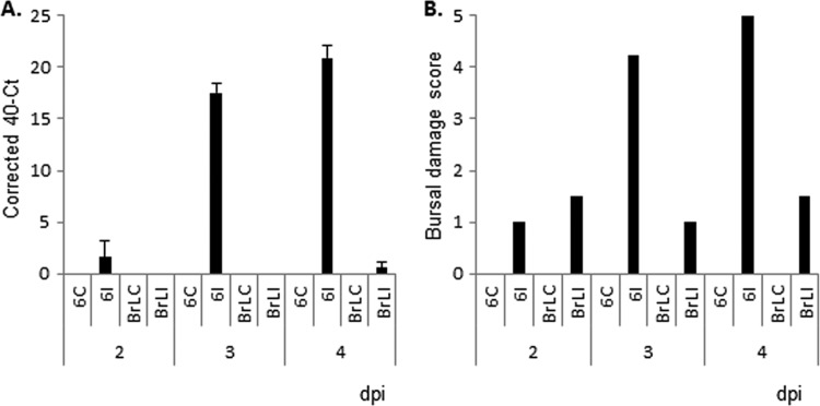 FIG 1