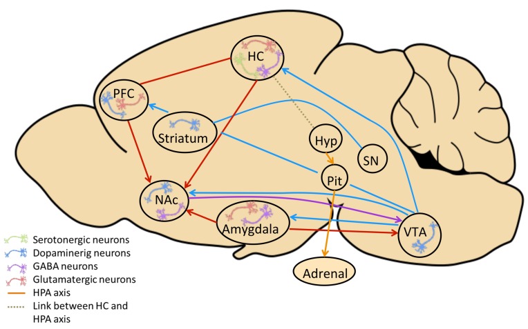 Fig. (1)